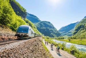 Bergen: tren de Flåm, crucero por Nærøyfjord y vistas de Stegastein