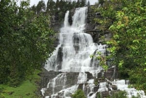 Bergen: tren de Flåm, crucero por Nærøyfjord y vistas de Stegastein