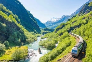 Bergen: tren de Flåm, crucero por Nærøyfjord y vistas de Stegastein