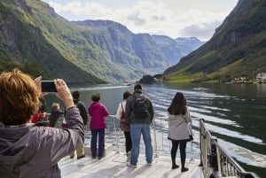 Bergen: tren de Flåm, crucero por Nærøyfjord y vistas de Stegastein