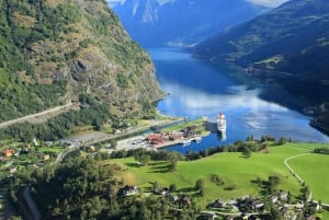 Bergen: tren de Flåm, crucero por Nærøyfjord y vistas de Stegastein