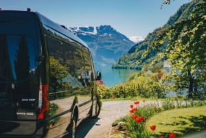 Bergen: tren de Flåm, crucero por Nærøyfjord y vistas de Stegastein