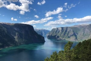 Bergen: tren de Flåm, crucero por Nærøyfjord y vistas de Stegastein