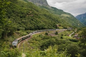 Bergen: tren de Flåm, crucero por Nærøyfjord y vistas de Stegastein