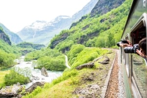 Bergen: tren de Flåm, crucero por Nærøyfjord y vistas de Stegastein