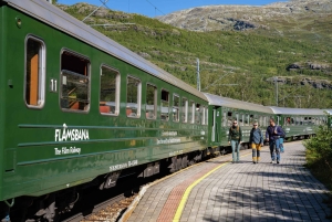Bergen: Comboio de Flam, passeio pela aldeia viking com cruzeiro pelos fiordes