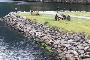 Bergen: Comboio de Flam, passeio pela aldeia viking com cruzeiro pelos fiordes