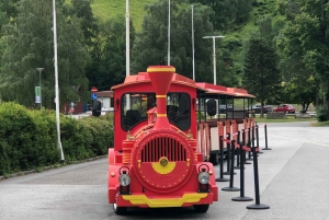 Bergen: Comboio de Flam, passeio pela aldeia viking com cruzeiro pelos fiordes