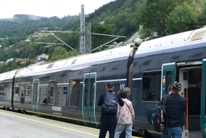 Bergen: Comboio de Flam, passeio pela aldeia viking com cruzeiro pelos fiordes