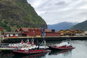 Bergen: Comboio de Flam, passeio pela aldeia viking com cruzeiro pelos fiordes