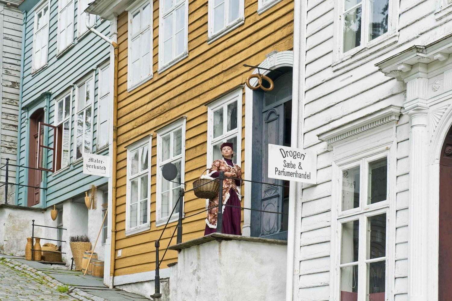 Bergen: Guided Car Tour with Old Bergen Museum & Fantoft …