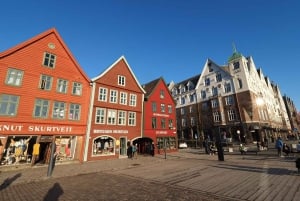 Bergen: Wycieczka samochodowa z przewodnikiem z Muzeum Starego Bergen i Fantoft ...