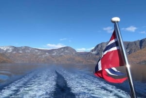 Bergen: wioska wikingów, rejs po fiordzie Nærøyfjord i kolejka Flåm