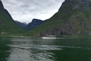 Bergen: wioska wikingów, rejs po fiordzie Nærøyfjord i kolejka Flåm