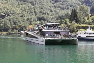 Bergen: wioska wikingów, rejs po fiordzie Nærøyfjord i kolejka Flåm