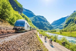 Bergen: wioska wikingów, rejs po fiordzie Nærøyfjord i kolejka Flåm