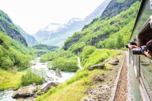 Bergen: wioska wikingów, rejs po fiordzie Nærøyfjord i kolejka Flåm