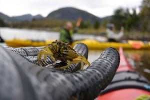 Bergen: Guided Fishing Tour with Outdoor Cooking