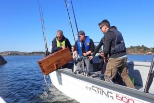 Bergen: Guided Fishing Tour with Outdoor Cooking