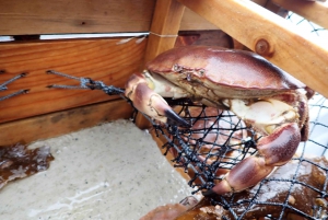 Bergen: Guided Fishing Tour with Outdoor Cooking