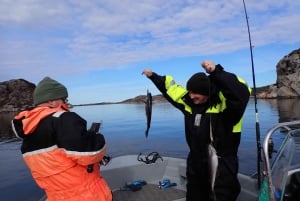 Bergen: Guided Fishing Tour with Outdoor Cooking