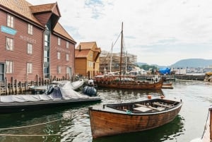 Bergen: Wycieczka minibusem z przewodnikiem i przystankami na zdjęcia