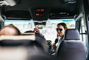 Bergen: Wycieczka minibusem z przewodnikiem i przystankami na zdjęcia