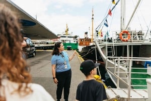 Bergen: Wycieczka minibusem z przewodnikiem i przystankami na zdjęcia