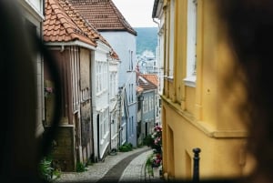 Bergen: Wycieczka minibusem z przewodnikiem i przystankami na zdjęcia
