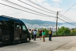 Bergen: Wycieczka minibusem z przewodnikiem i przystankami na zdjęcia