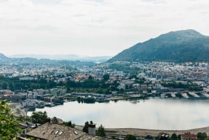Bergen: Wycieczka minibusem z przewodnikiem i przystankami na zdjęcia