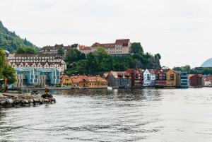 Bergen: Wycieczka minibusem z przewodnikiem i przystankami na zdjęcia