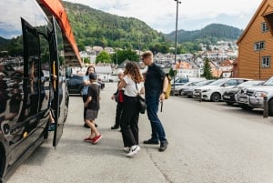 Bergen: Wycieczka minibusem z przewodnikiem i przystankami na zdjęcia