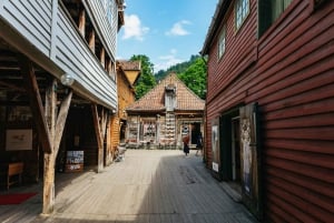 Bergen: Wycieczka minibusem z przewodnikiem i przystankami na zdjęcia