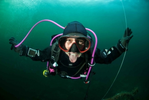 Bergen: Buceo guiado