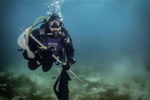 Bergen: Buceo guiado