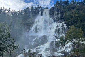 Bergen: Guidet tur til vikingelandsbyen Njardarheimr