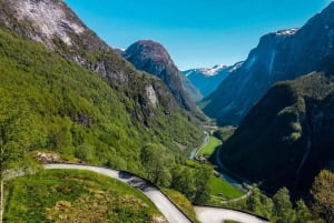 Bergen: Guidet tur til vikingelandsbyen Njardarheimr