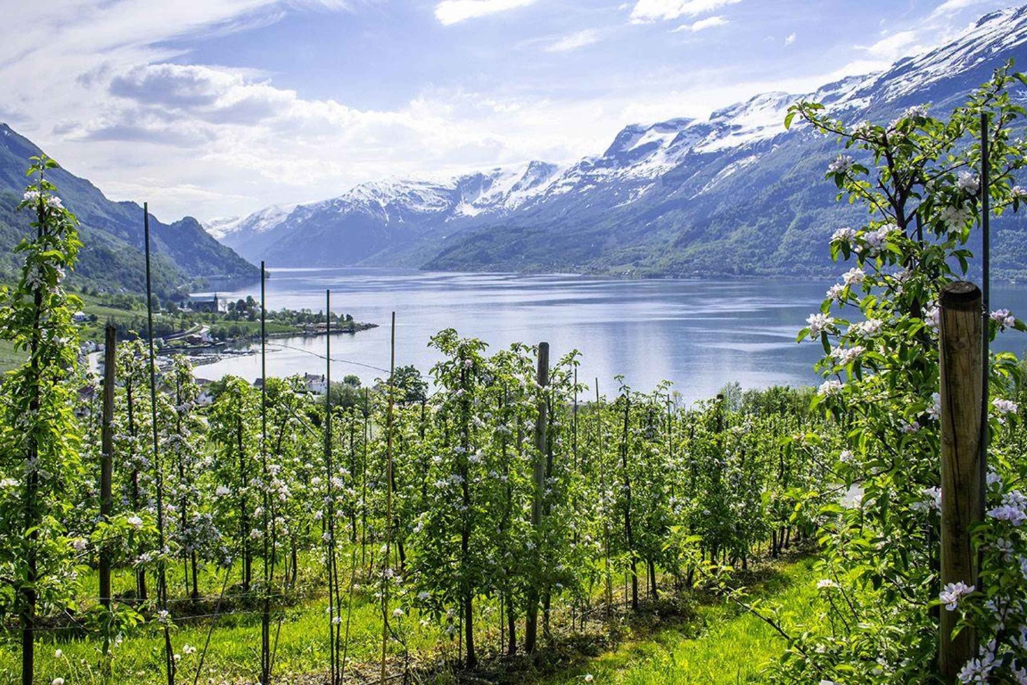Bergen: Hardangerfjord Tour with Lunch & Waterfalls