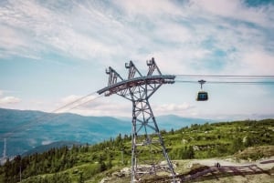 Bergen: Hardangerfjorden, Voss Gondol & 3 stora vattenfall