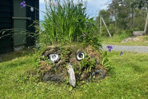 Bergen Magische Natuurtour | ViFlowExperience