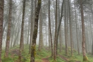 Bergen Magische Natuurtour | ViFlowExperience