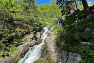 Bergen Magische Natuurtour | ViFlowExperience