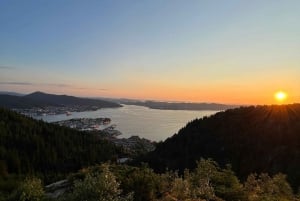 Bergen Magische Natuurtour | ViFlowExperience
