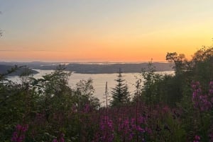 Bergen Magische Natuurtour | ViFlowExperience