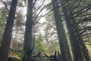 Bergen Magische Natuurtour | ViFlowExperience