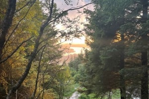 Bergen Magische Natuurtour | ViFlowExperience