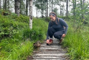 Bergen Magische Natuurtour | ViFlowExperience