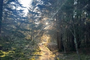 Bergen Magische Natuurtour | ViFlowExperience