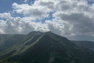 Bergen Magische Natuurtour | ViFlowExperience